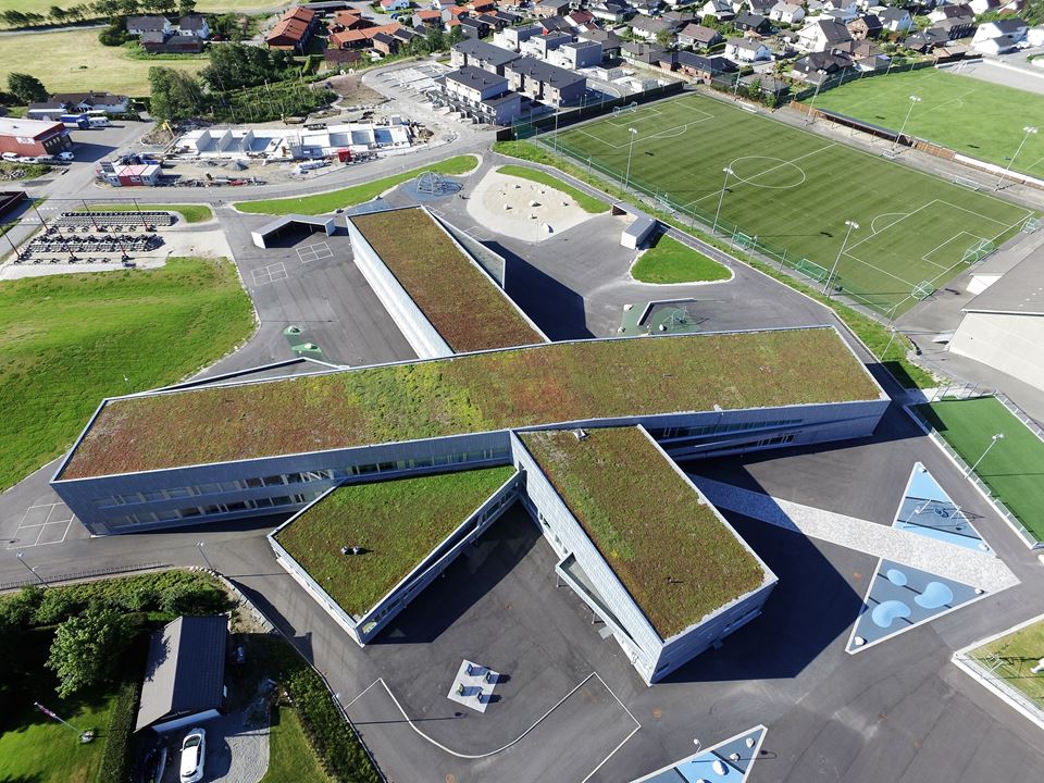 Tworzenie zieleni miejskiej - systemy zielonych dachów